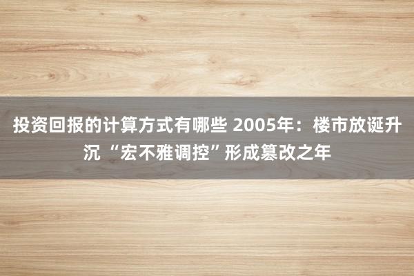 投资回报的计算方式有哪些 2005年：楼市放诞升沉 “宏不雅调控”形成篡改之年