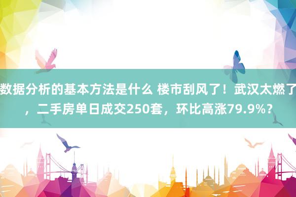 数据分析的基本方法是什么 楼市刮风了！武汉太燃了，二手房单日成交250套，环比高涨79.9%？