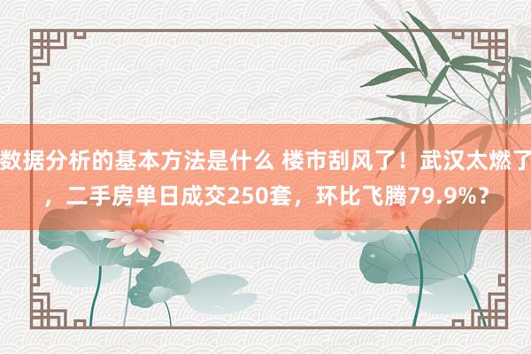 数据分析的基本方法是什么 楼市刮风了！武汉太燃了，二手房单日成交250套，环比飞腾79.9%？