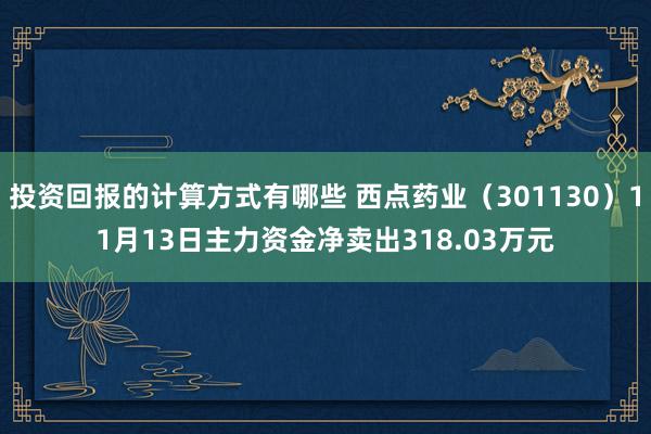 投资回报的计算方式有哪些 西点药业（301130）11月13日主力资金净卖出318.03万元