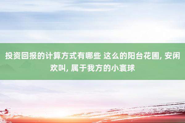 投资回报的计算方式有哪些 这么的阳台花圃, 安闲欢叫, 属于我方的小寰球