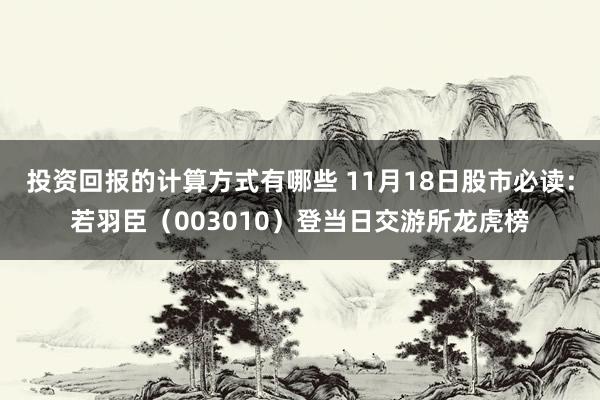 投资回报的计算方式有哪些 11月18日股市必读：若羽臣（003010）登当日交游所龙虎榜