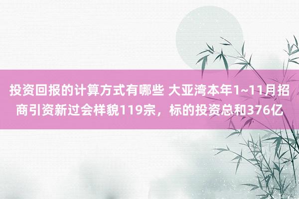 投资回报的计算方式有哪些 大亚湾本年1~11月招商引资新过会样貌119宗，标的投资总和376亿