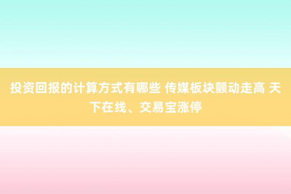 投资回报的计算方式有哪些 传媒板块颤动走高 天下在线、交易宝涨停