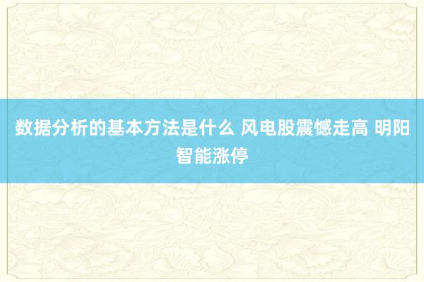 数据分析的基本方法是什么 风电股震憾走高 明阳智能涨停