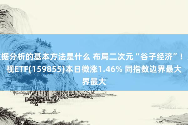 数据分析的基本方法是什么 布局二次元“谷子经济”！影视ETF(159855)本日微涨1.46% 同指数边界最大