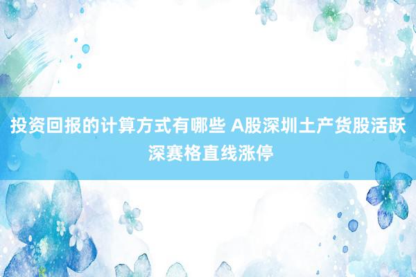 投资回报的计算方式有哪些 A股深圳土产货股活跃 深赛格直线涨停