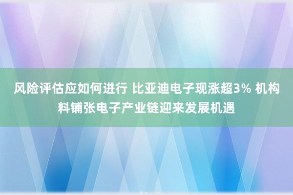 风险评估应如何进行 比亚迪电子现涨超3% 机构料铺张电子产业链迎来发展机遇