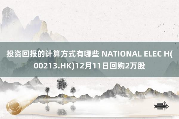 投资回报的计算方式有哪些 NATIONAL ELEC H(00213.HK)12月11日回购2万股