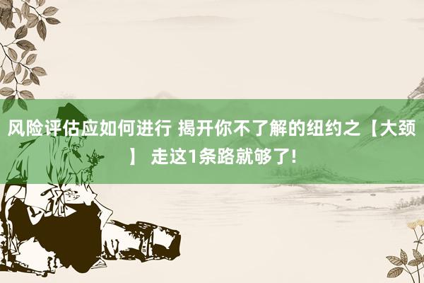 风险评估应如何进行 揭开你不了解的纽约之【大颈】 走这1条路就够了!