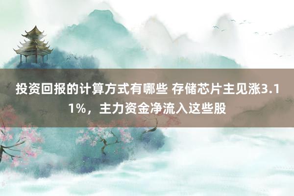 投资回报的计算方式有哪些 存储芯片主见涨3.11%，主力资金净流入这些股