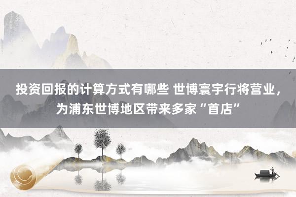 投资回报的计算方式有哪些 世博寰宇行将营业，为浦东世博地区带来多家“首店”