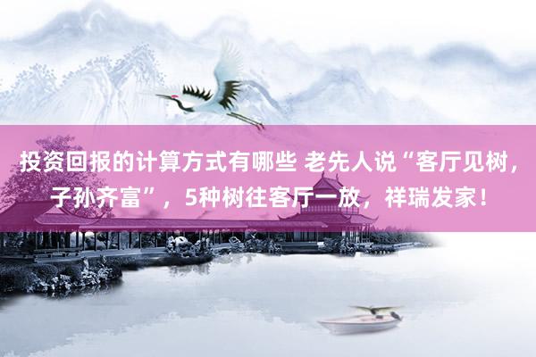 投资回报的计算方式有哪些 老先人说“客厅见树，子孙齐富”，5种树往客厅一放，祥瑞发家！