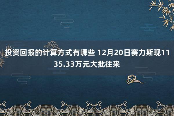 投资回报的计算方式有哪些 12月20日赛力斯现1135.33万元大批往来