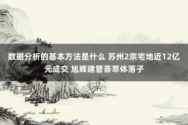 数据分析的基本方法是什么 苏州2宗宅地近12亿元成交 旭辉建管荟萃体落子