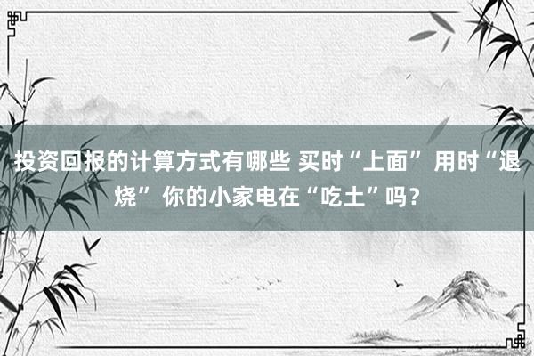 投资回报的计算方式有哪些 买时“上面” 用时“退烧” 你的小家电在“吃土”吗？