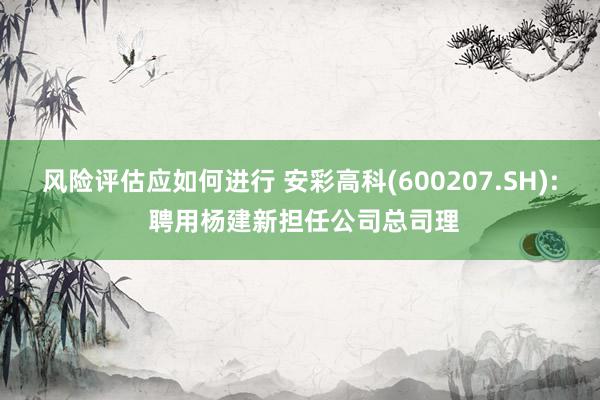 风险评估应如何进行 安彩高科(600207.SH): 聘用杨建新担任公司总司理