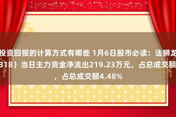 投资回报的计算方式有哪些 1月6日股市必读：法狮龙（605318）当日主力资金净流出219.23万元，占总成交额4.48%