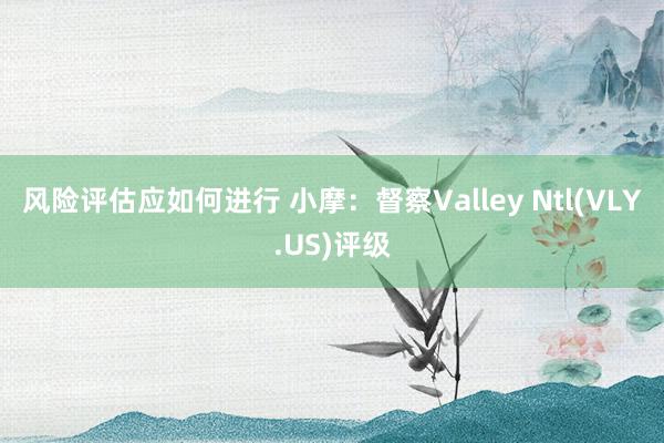 风险评估应如何进行 小摩：督察Valley Ntl(VLY.US)评级