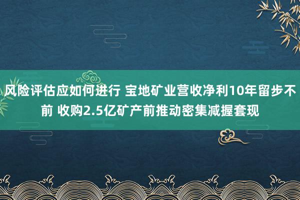 风险评估应如何进行 宝地矿业营收净利10年留步不前 收购2.5亿矿产前推动密集减握套现