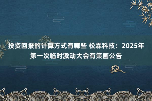 投资回报的计算方式有哪些 松霖科技：2025年第一次临时激动大会有策画公告