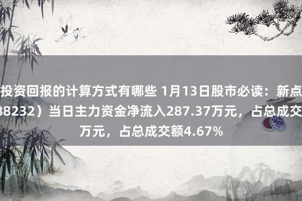 投资回报的计算方式有哪些 1月13日股市必读：新点软件（688232）当日主力资金净流入287.37万元，占总成交额4.67%