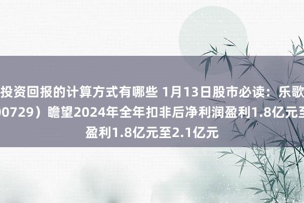 投资回报的计算方式有哪些 1月13日股市必读：乐歌股份（300729）瞻望2024年全年扣非后净利润盈利1.8亿元至2.1亿元