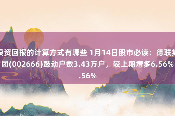 投资回报的计算方式有哪些 1月14日股市必读：德联集团(002666)鼓动户数3.43万户，较上期增多6.56%