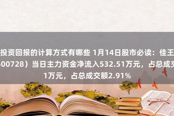 投资回报的计算方式有哪些 1月14日股市必读：佳王人科技（600728）当日主力资金净流入532.51万元，占总成交额2.91%