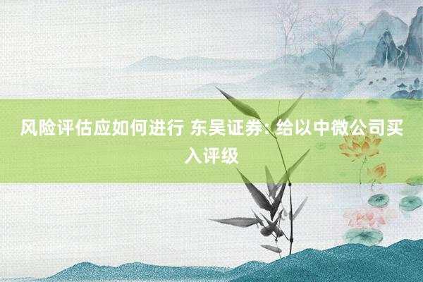 风险评估应如何进行 东吴证券: 给以中微公司买入评级