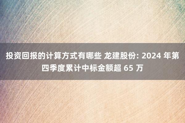 投资回报的计算方式有哪些 龙建股份: 2024 年第四季度累计中标金额超 65 万