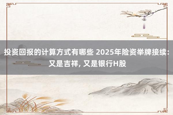 投资回报的计算方式有哪些 2025年险资举牌接续: 又是吉祥, 又是银行H股