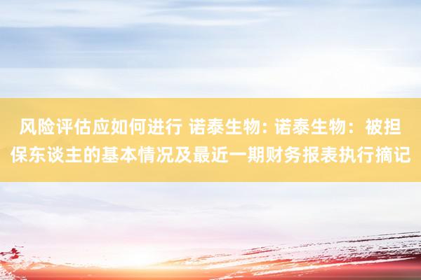 风险评估应如何进行 诺泰生物: 诺泰生物：被担保东谈主的基本情况及最近一期财务报表执行摘记