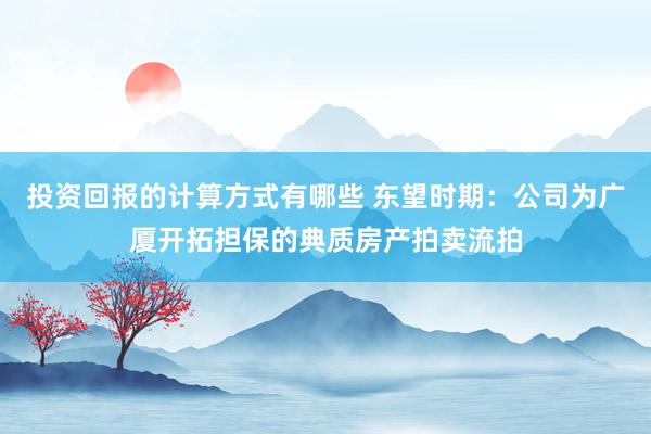 投资回报的计算方式有哪些 东望时期：公司为广厦开拓担保的典质房产拍卖流拍