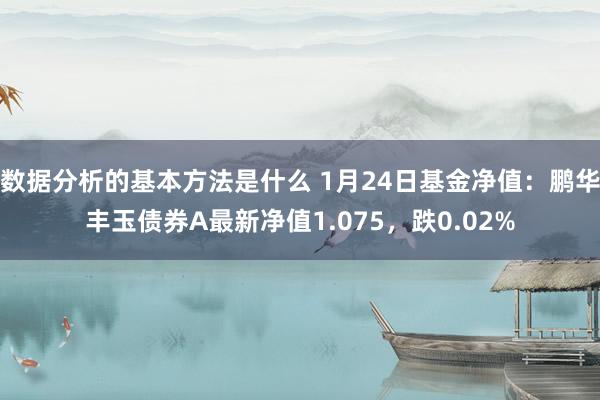 数据分析的基本方法是什么 1月24日基金净值：鹏华丰玉债券A最新净值1.075，跌0.02%