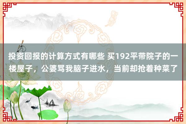 投资回报的计算方式有哪些 买192平带院子的一楼屋子，公婆骂我脑子进水，当前却抢着种菜了