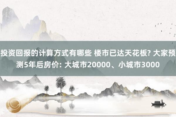 投资回报的计算方式有哪些 楼市已达天花板? 大家预测5年后房价: 大城市20000、小城市3000