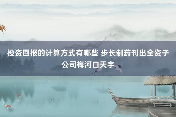 投资回报的计算方式有哪些 步长制药刊出全资子公司梅河口天宇