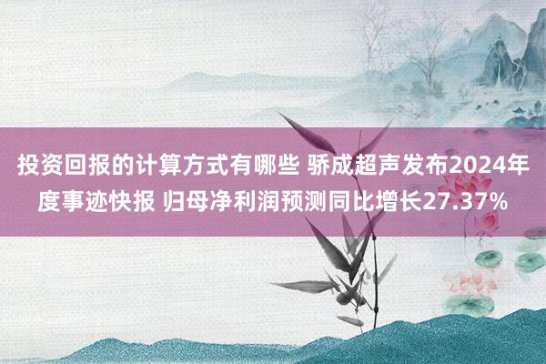 投资回报的计算方式有哪些 骄成超声发布2024年度事迹快报 归母净利润预测同比增长27.37%