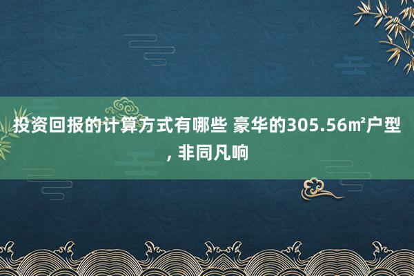 投资回报的计算方式有哪些 豪华的305.56㎡户型, 非同凡响