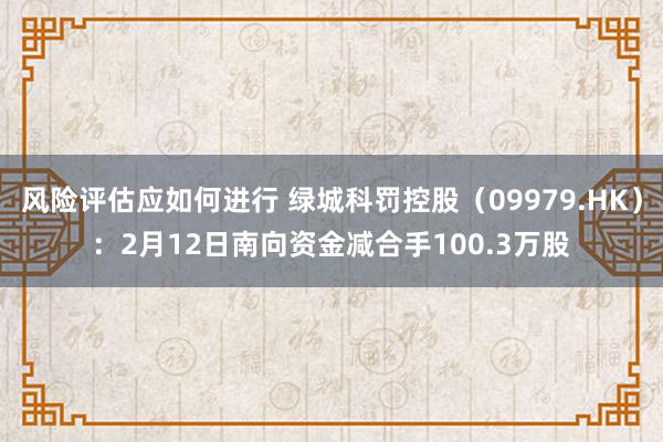 风险评估应如何进行 绿城科罚控股（09979.HK）：2月12日南向资金减合手100.3万股