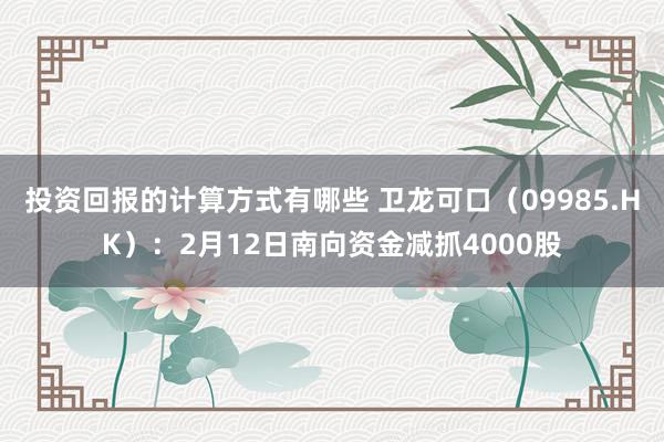 投资回报的计算方式有哪些 卫龙可口（09985.HK）：2月12日南向资金减抓4000股