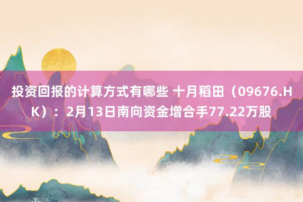 投资回报的计算方式有哪些 十月稻田（09676.HK）：2月13日南向资金增合手77.22万股