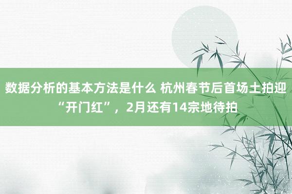 数据分析的基本方法是什么 杭州春节后首场土拍迎“开门红”，2月还有14宗地待拍