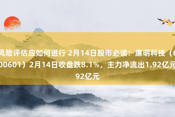 风险评估应如何进行 2月14日股市必读：廉明科技（600601）2月14日收盘跌8.1%，主力净流出1.92亿元