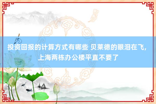 投资回报的计算方式有哪些 贝莱德的眼泪在飞, 上海两栋办公楼平直不要了