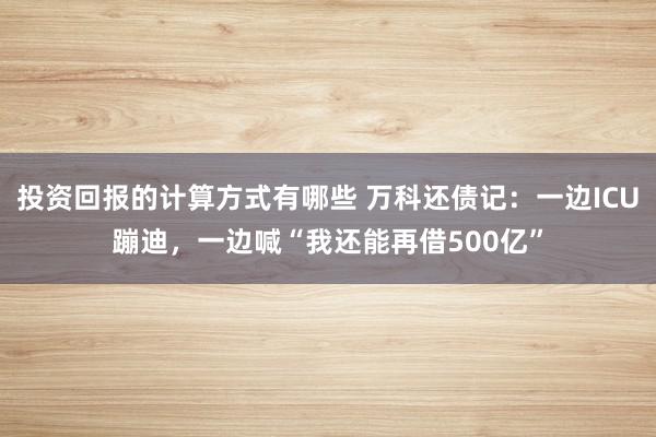 投资回报的计算方式有哪些 万科还债记：一边ICU蹦迪，一边喊“我还能再借500亿”