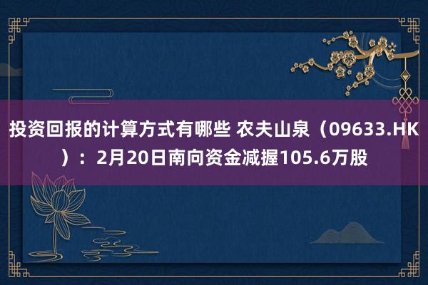 投资回报的计算方式有哪些 农夫山泉（09633.HK）：2月20日南向资金减握105.6万股