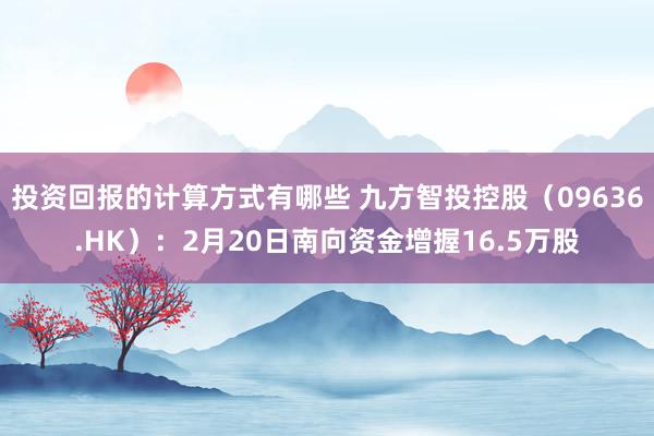 投资回报的计算方式有哪些 九方智投控股（09636.HK）：2月20日南向资金增握16.5万股