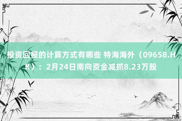 投资回报的计算方式有哪些 特海海外（09658.HK）：2月24日南向资金减抓8.23万股